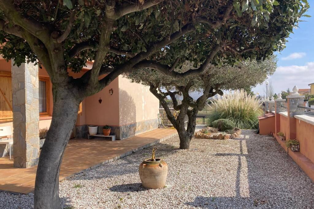 Vino Que Del Cielo Vino. Alt Penedes Villa San Quintin de Mediona Ngoại thất bức ảnh